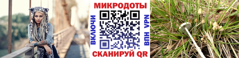 Галлюциногенные грибы ЛСД  hydra онион  Новоалександровск 